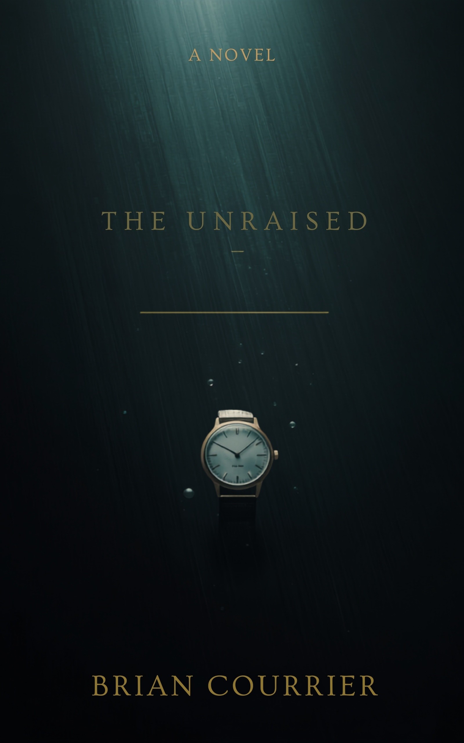 Cover of The Unraised