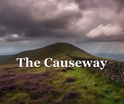The Causeway: The Road That Decides Who Stays
