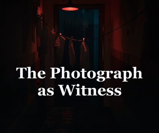 The Photograph as Witness: Fiction's Most Trusted Liar