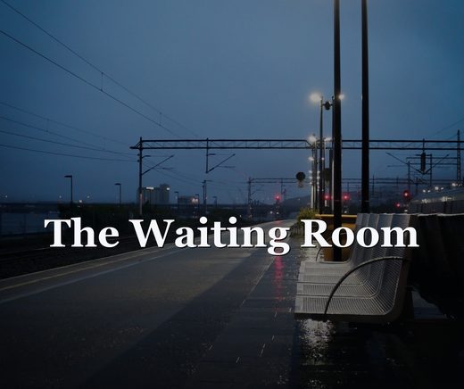 The Waiting Room: The Hour a Novel Spends Doing Nothing